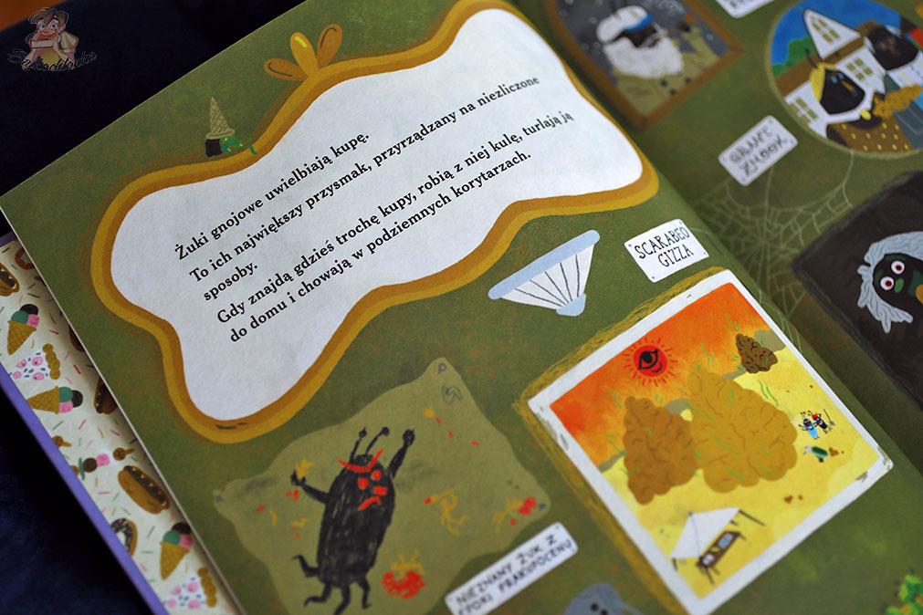 Rozkładówka: żuki gnojowe i ciekawostki – ilustracje i tekst o kulach z odchodów w książce „Drogocenna kupa”