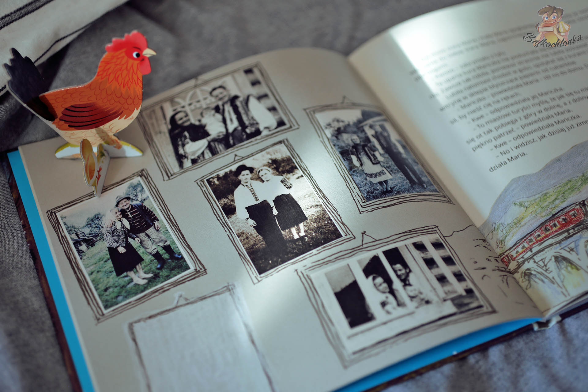 Gwiazdozbiór Kury – rodzinne zdjęcia (pamięć)