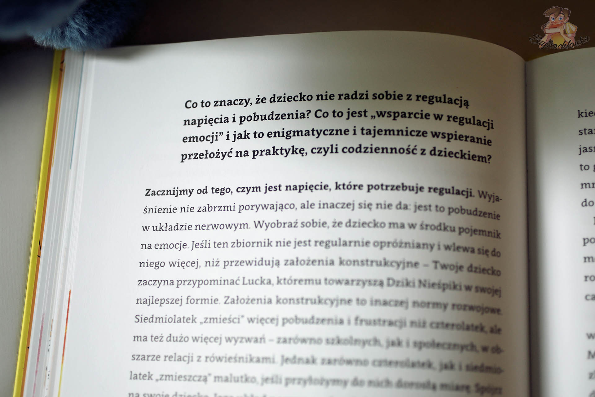 „Lucek i Dziki Nieśpiki” – fragment części poradnikowej o regulacji napięcia i pobudzeniu
