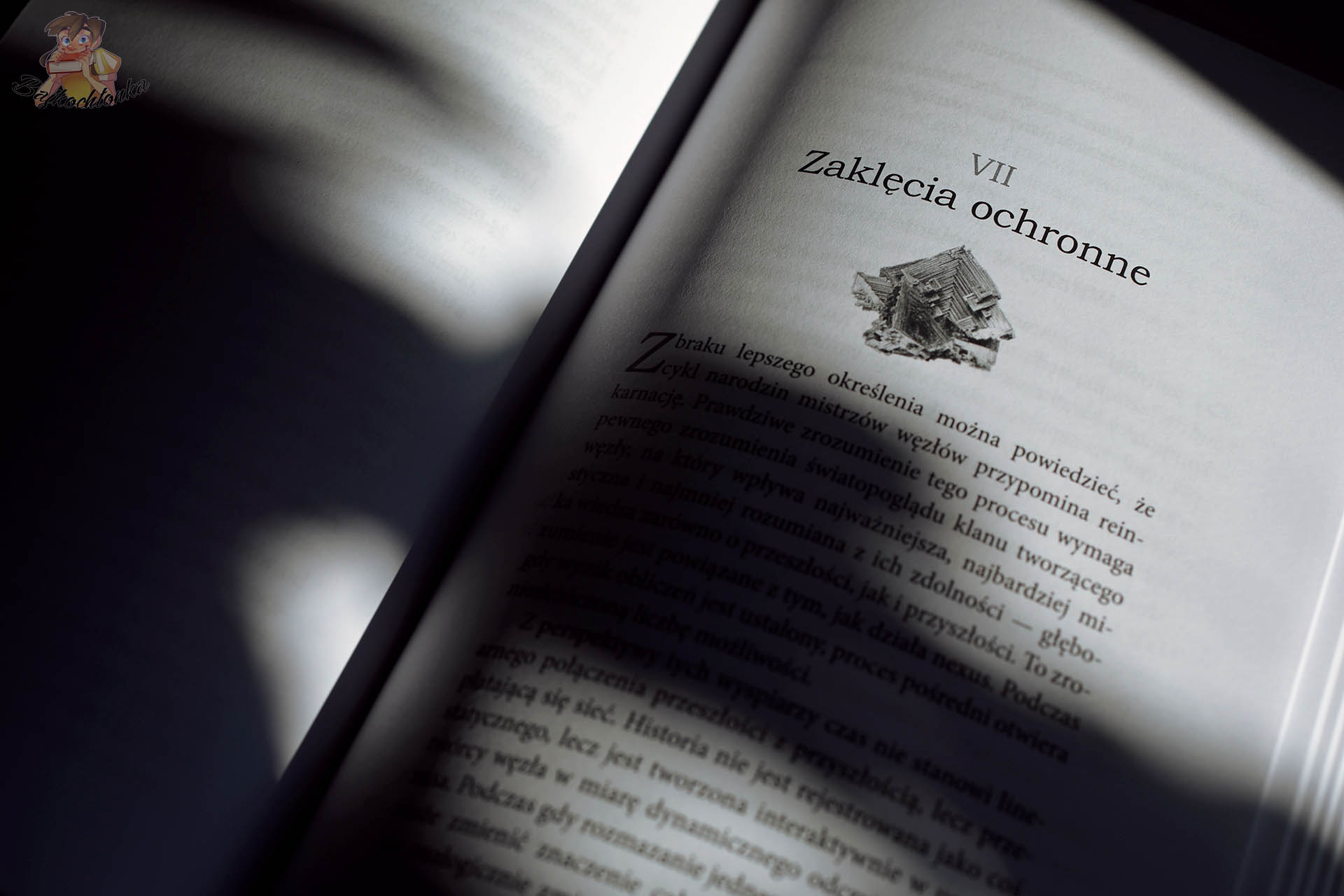 Rozdział „Zaklęcia ochronne” w książce Magiczna materia Felixa Flickera