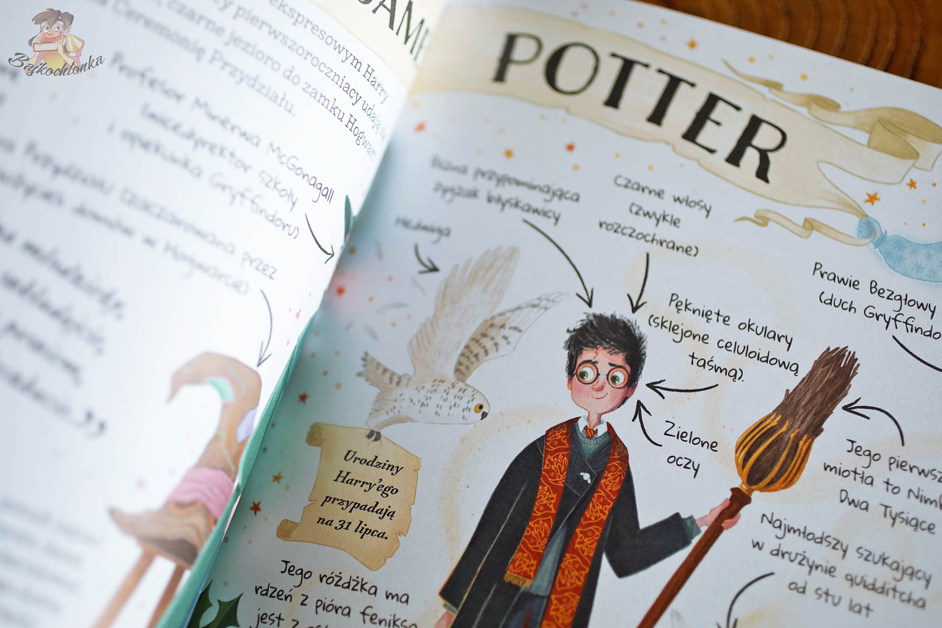 Portretowy rozdział o Harrym – Hedwiga, różdżka feniksa, Nimbus, zielone oczy i pęknięte okulary