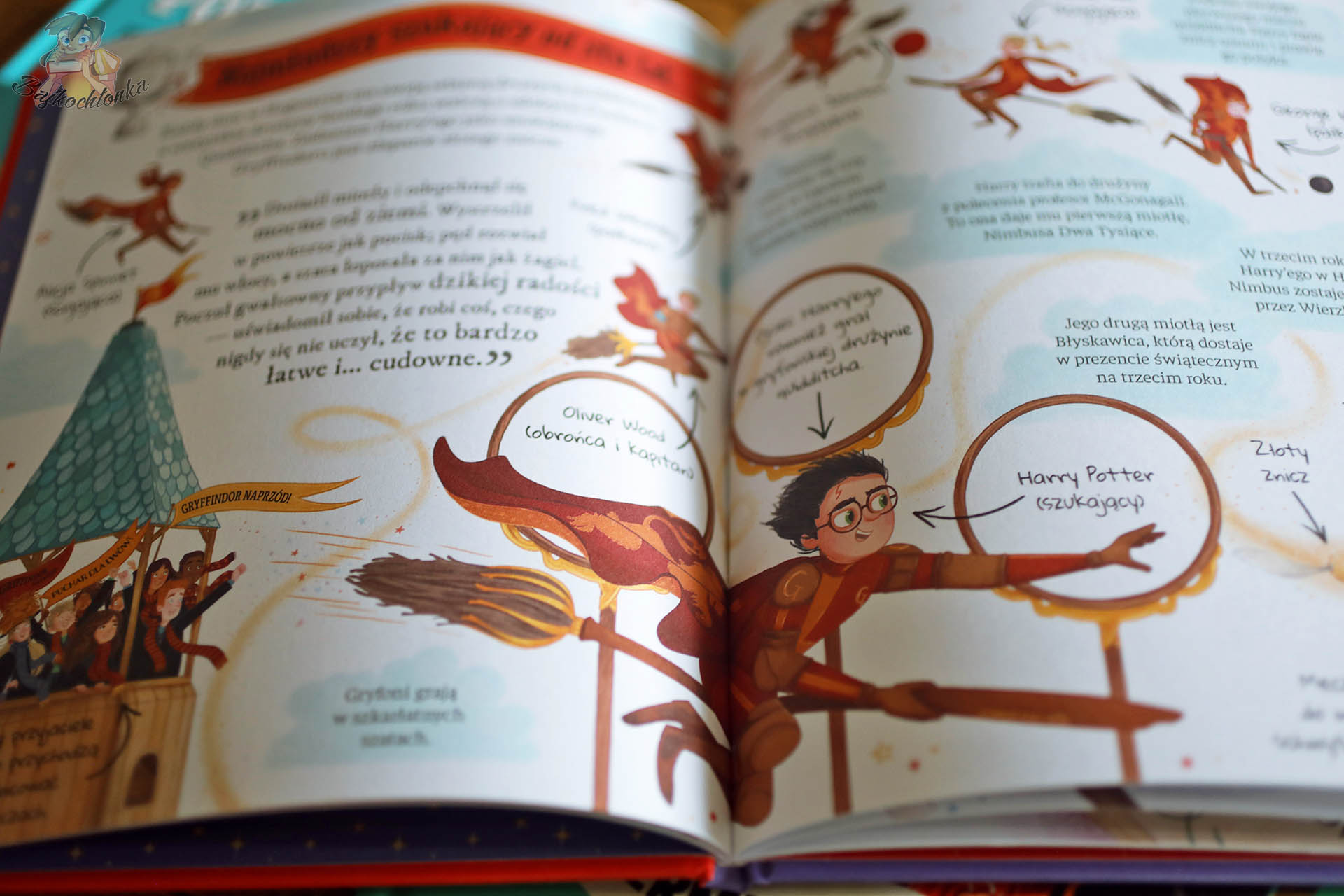 Rozkładówka o quidditchu – Harry Potter jako szukający, Złoty Znicz, trybuny Gryffindoru – przewodnik po serii