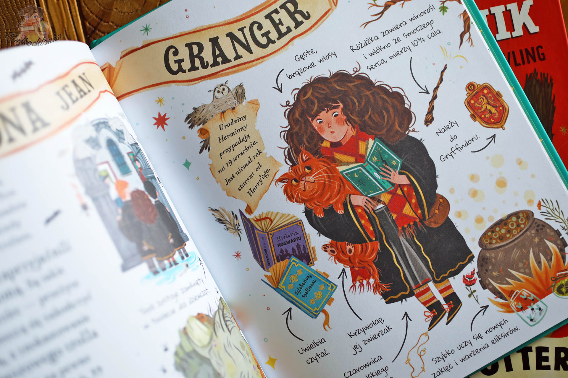 Ilustracja Hermiony Granger z listą faktów: różdżka, dom Gryffindor, ulubione książki – Mały potterownik