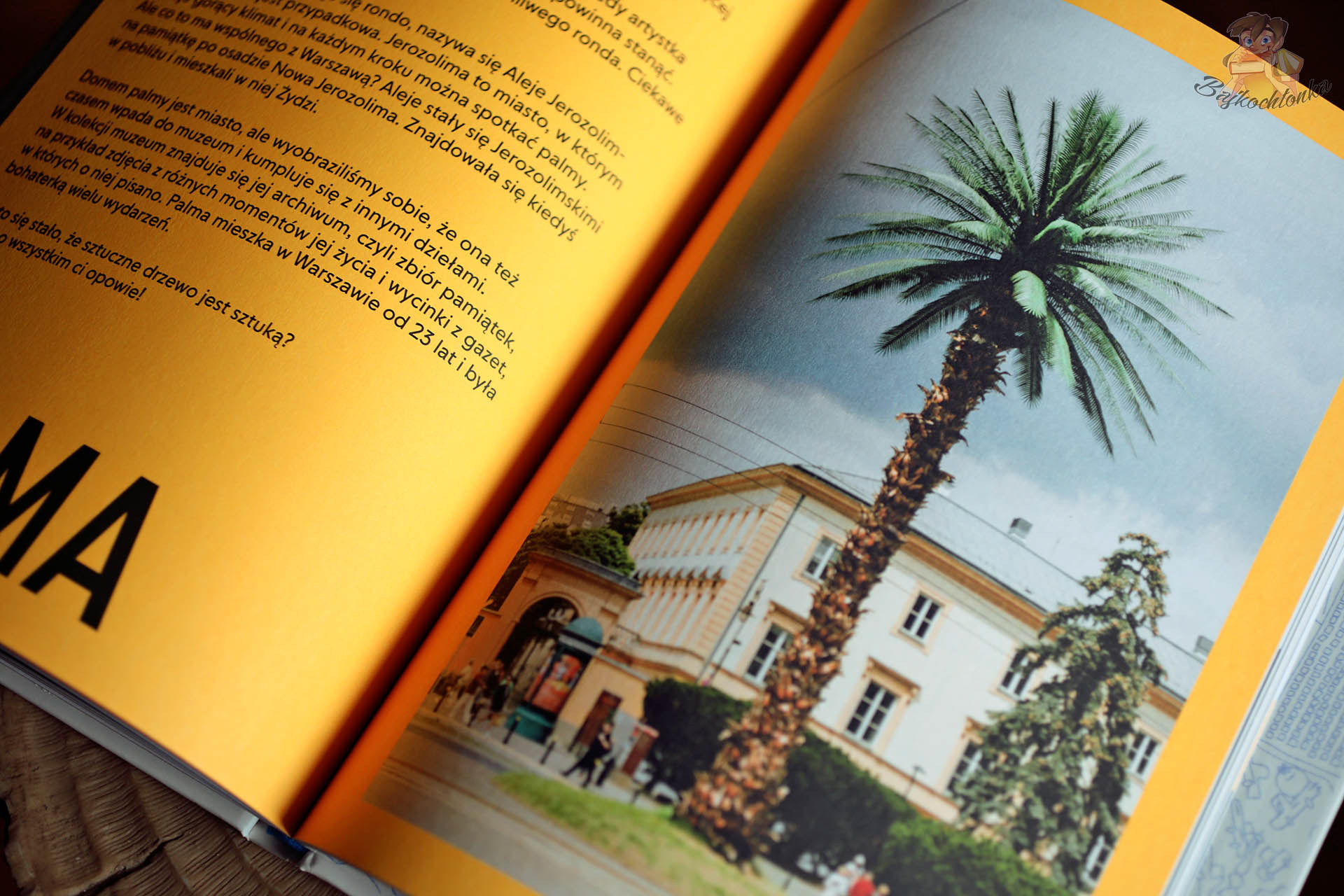 Rozdział o Palmie – „Pozdrowienia z Alej Jerozolimskich” Joanny Rajkowskiej w książce Po co nam sztuka?