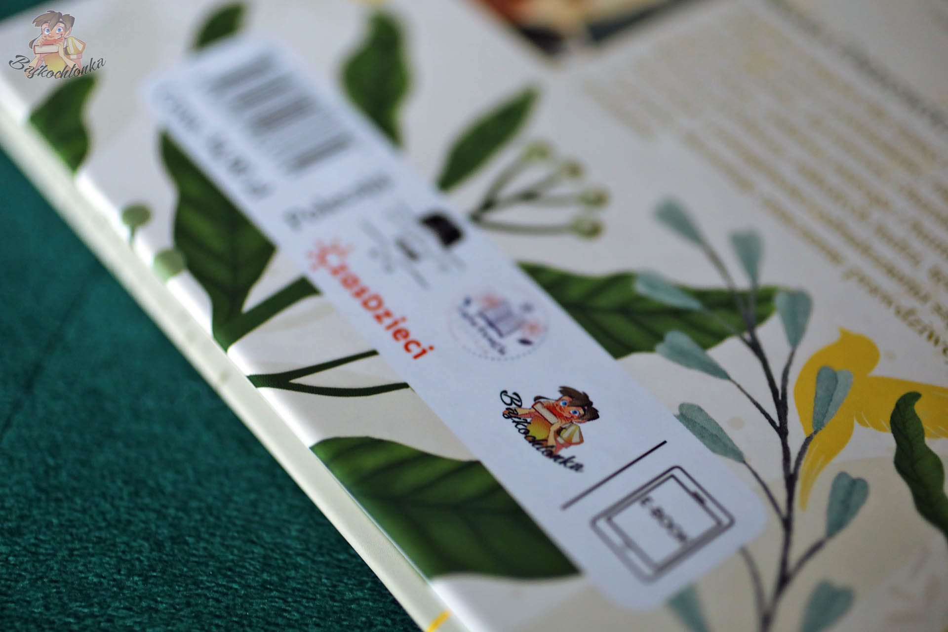 Zbliżenie na naklejki patronackie na okładce „Szczygłów”, m.in. CzasDzieci i Bajkochłonka.