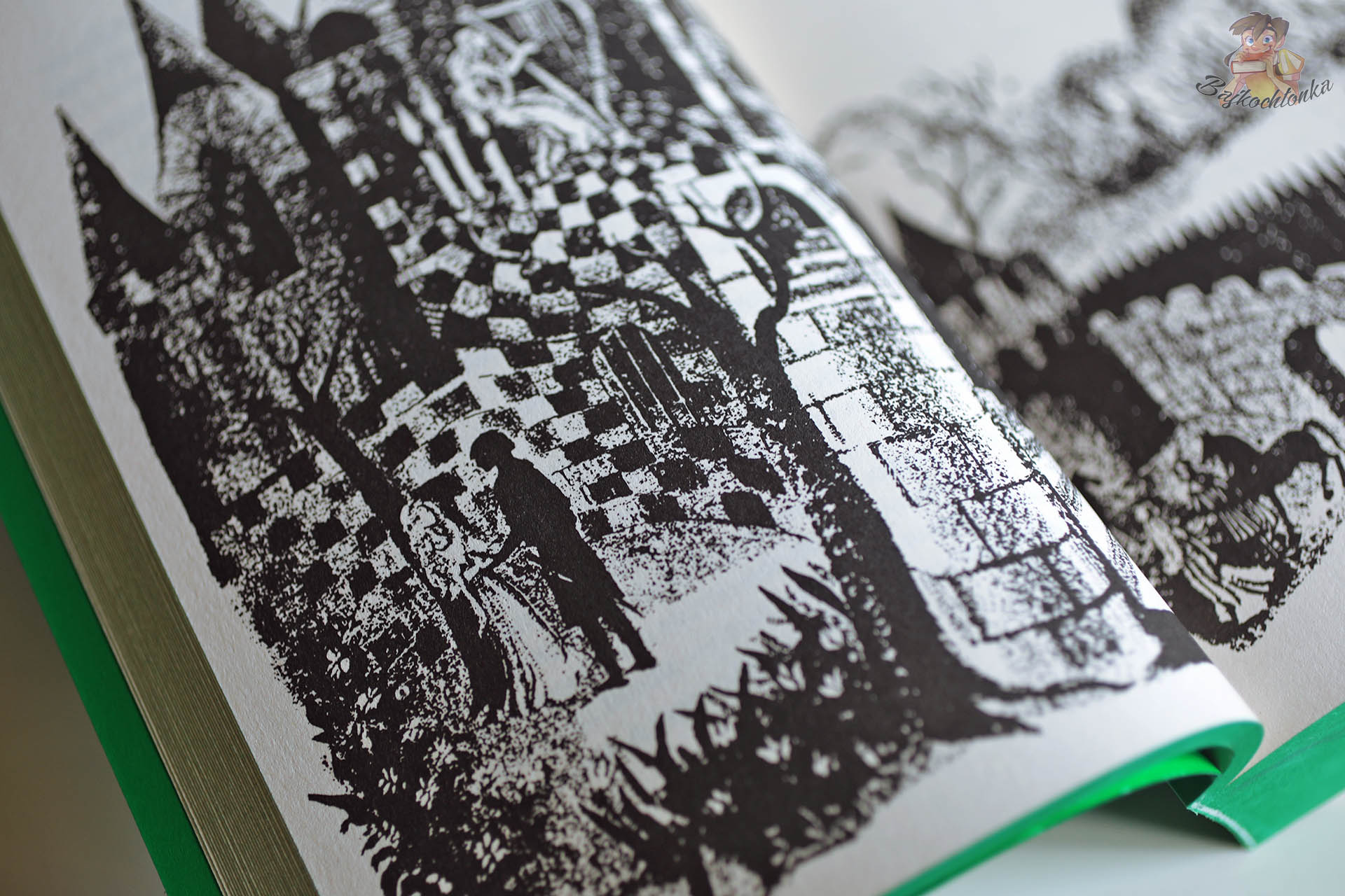 Scena przy zamku – ilustracje wewnętrzne Tajemnic Dzikiego Boru, zielone brzegi