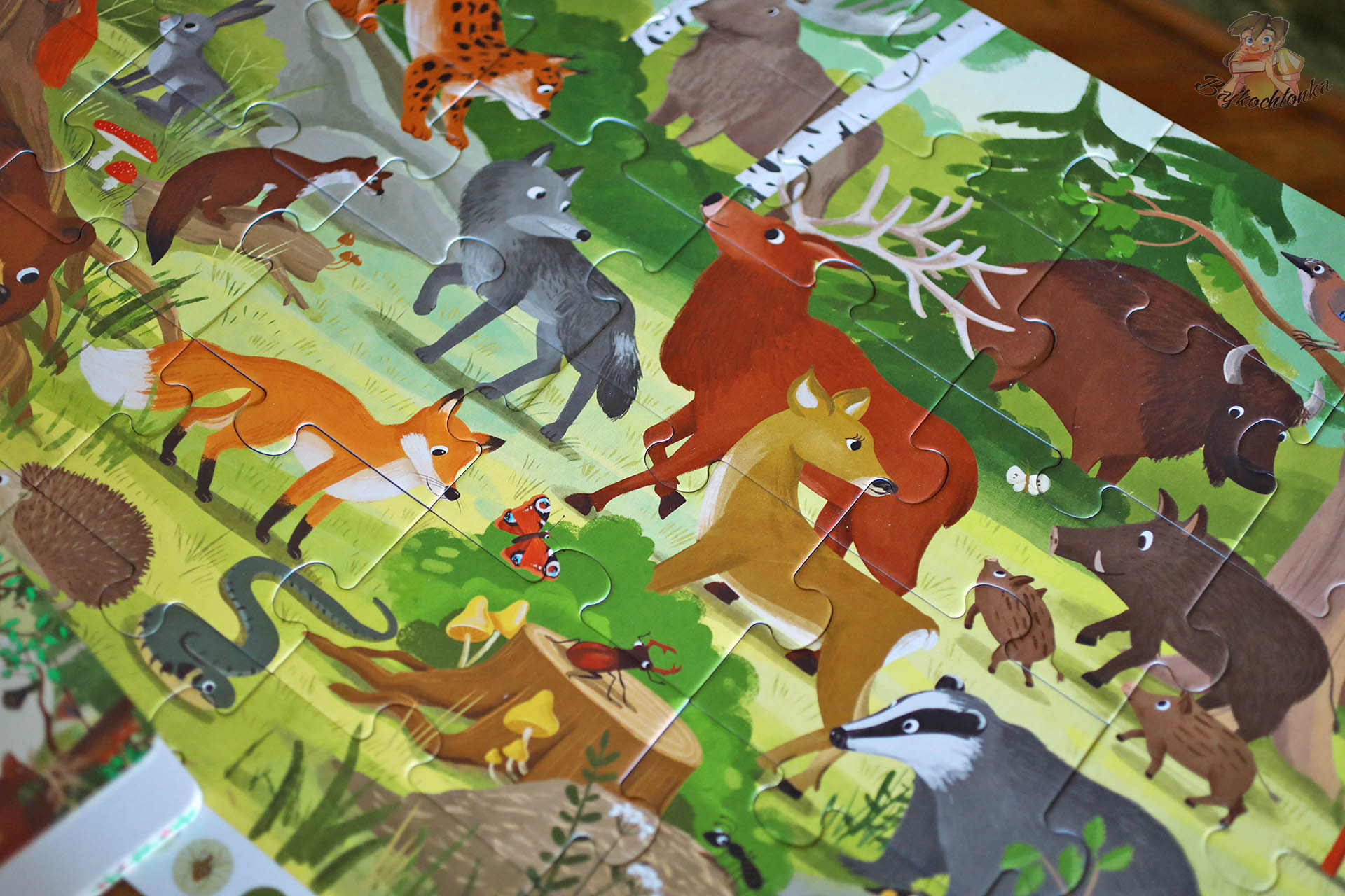 Fragment puzzli „Zwierzęta lasu” z lisem, jeleniem, wilkiem i borsukiem.