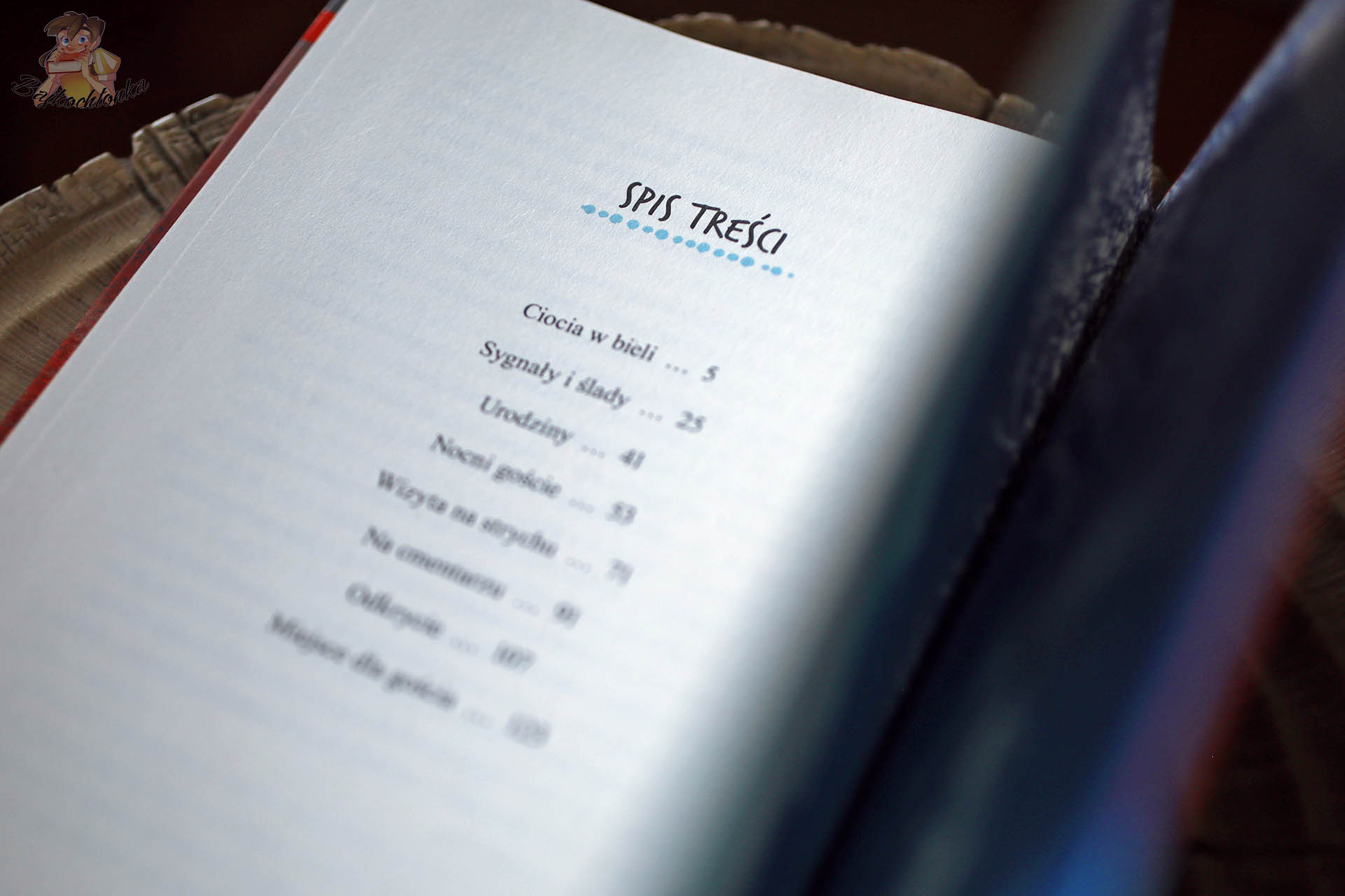 „Dom na odludziu” — spis tresci: Ciocia w bieli, Sygnały i ślady, Nocni goście