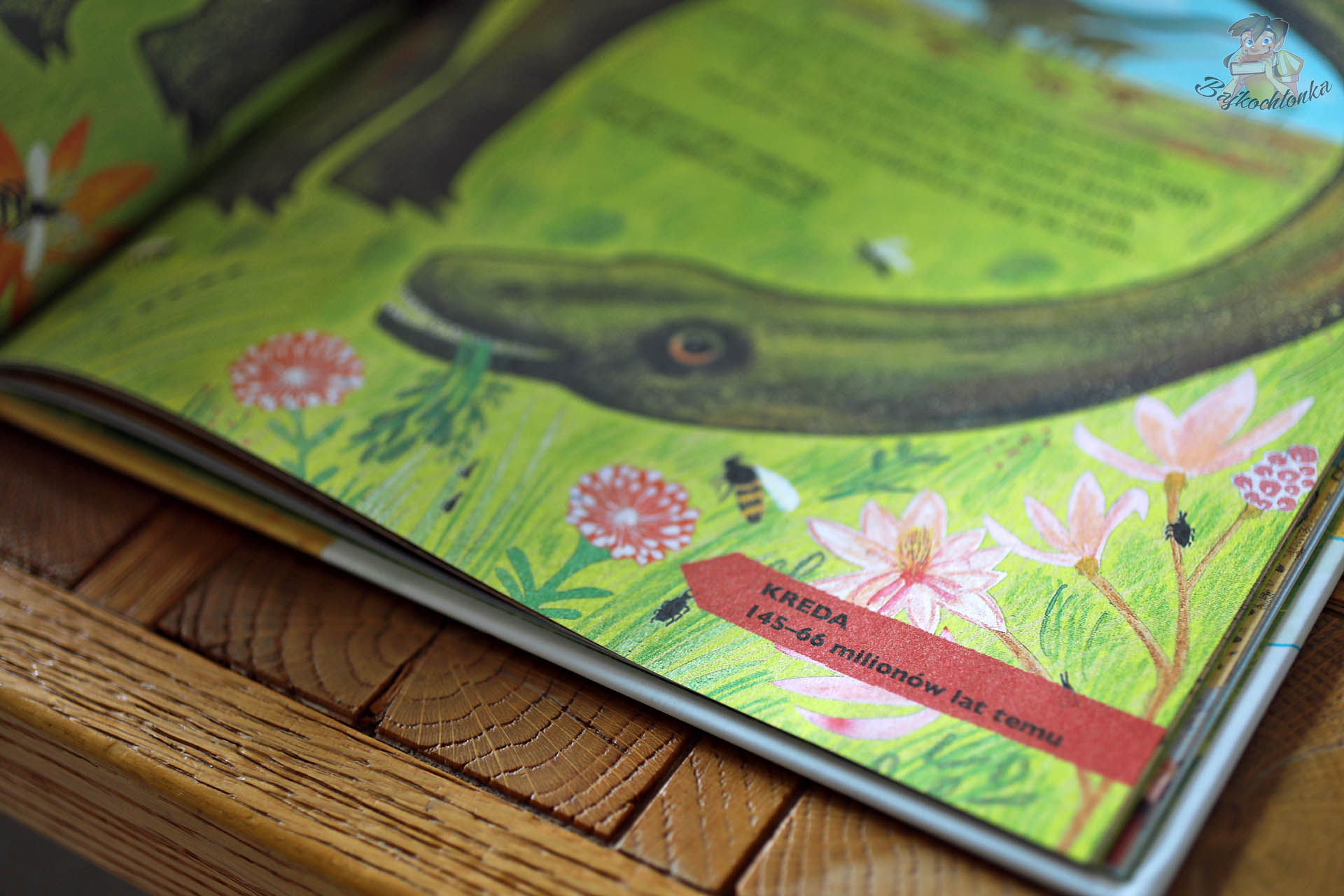 Wyraźne etykiety epok pomagają dzieciom osadzić fakty na osi czasu i szybciej zapamiętać podstawowe pojęcia.