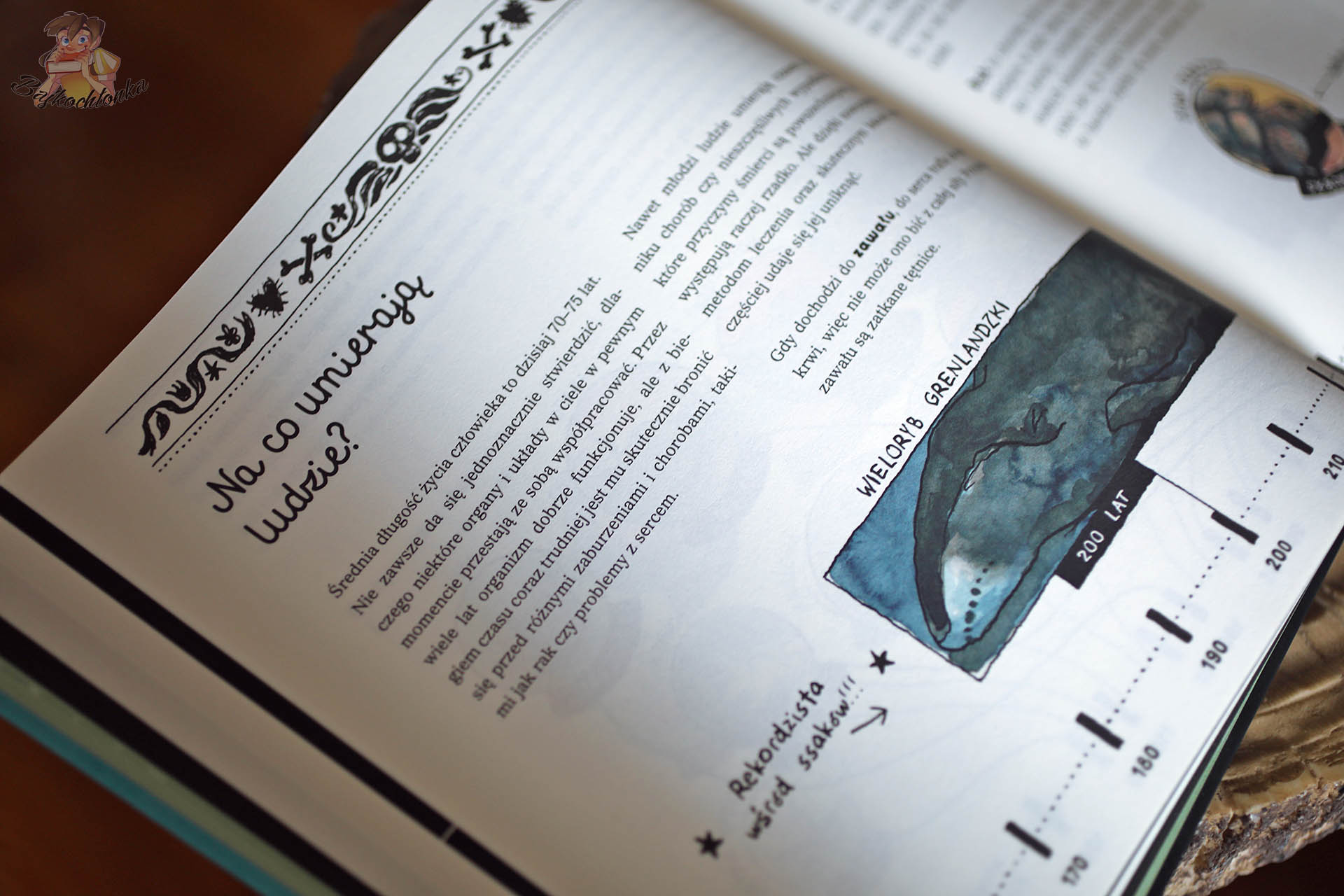 Zbliżenie strony „Na co umierają ludzie?” z książki „Kwiatki od spodu” – infografika i ilustracja wieloryba grenlandzkiego.