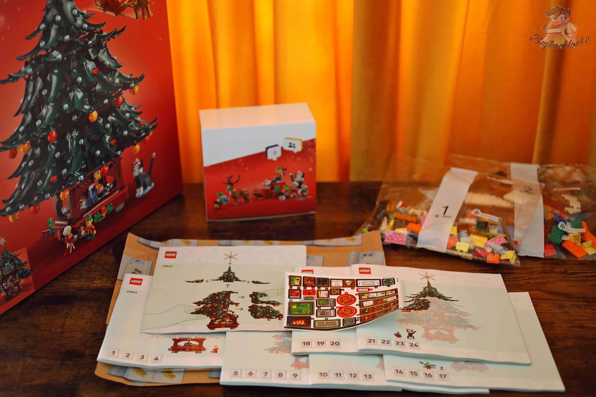 LEGO 41843 — instrukcje, naklejki i pudelko dodatkow