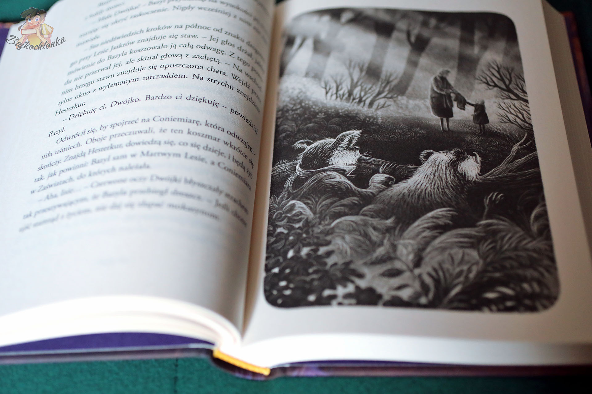 Lis z Martwego Lasu – ilustracja Marcina Minora, nocny las, spotkanie ludzi, klimat Zaświatów