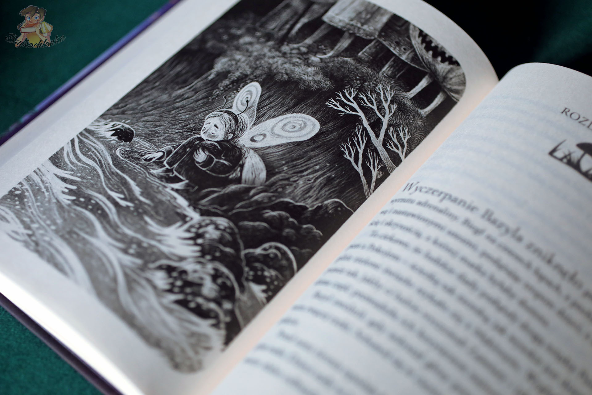 Lis z Martwego Lasu – czarno-biała ilustracja, nurt rzeki i postać ze skrzydłami, metafora przejścia