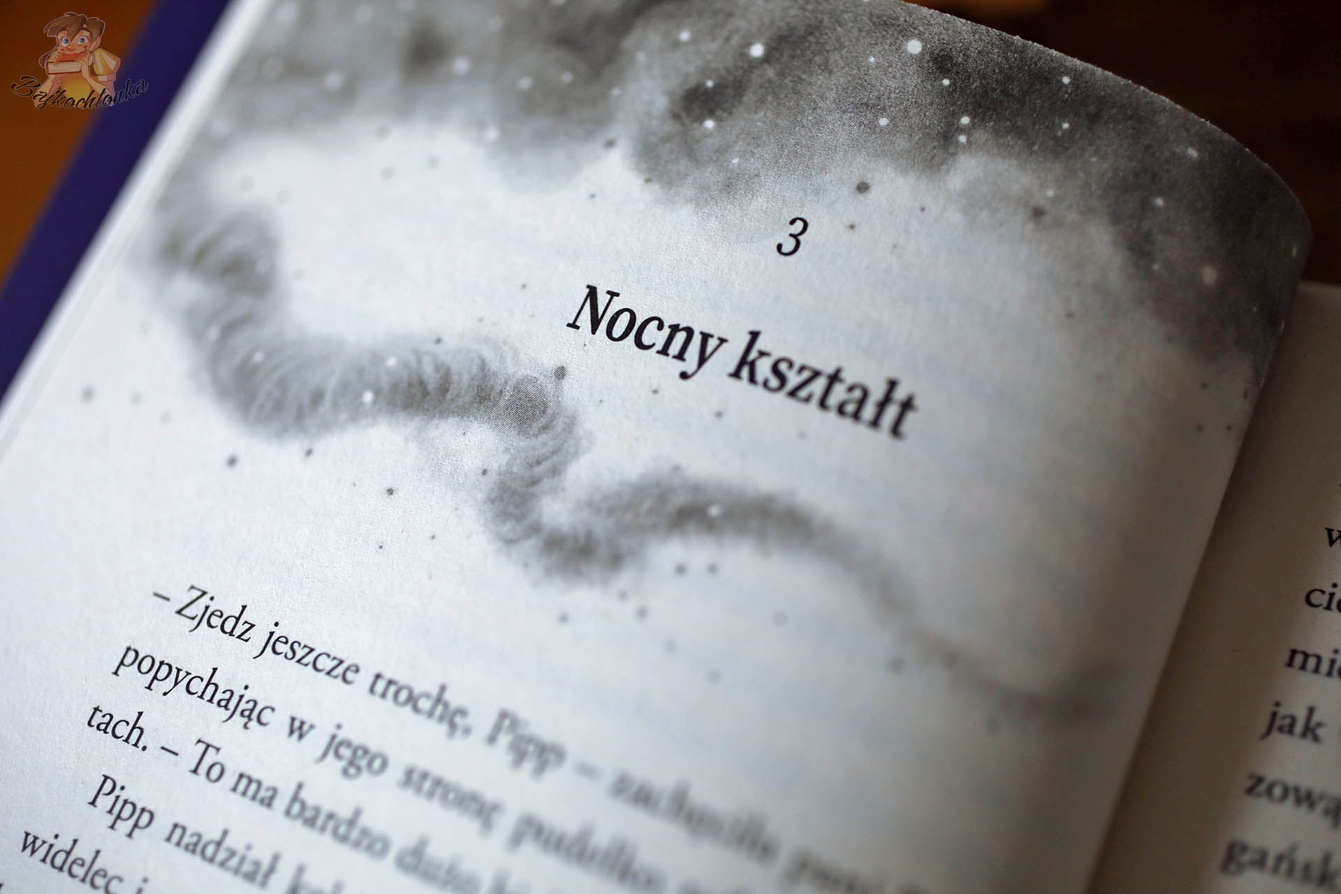Rozdział „Nocny kształt” w Łowcy dusz z Elbow Alley – mroczny tytuł i ilustracja z mgłą, klimat halloweenowej przygody