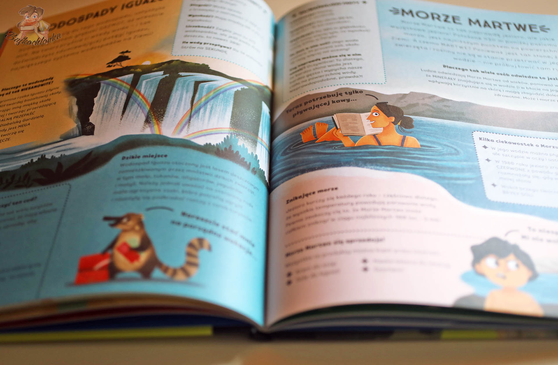 Wodospady Iguaçu i Morze Martwe – rozkładówka z Najbardziej kapitalne zjawiska na Ziemi (All Kids Publishing)