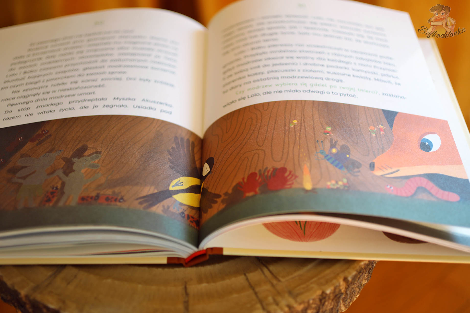 Rozkładówka: lis zagląda pod ziemię – mieszkańcy gleby i nasiona, baśniowy świat Opiekunów nasion