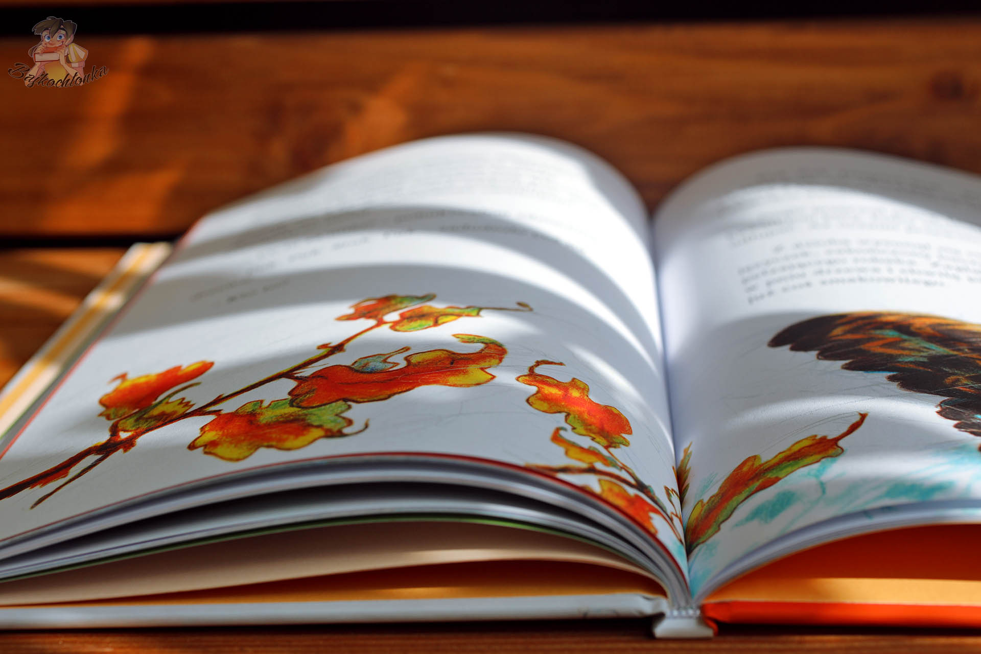 Rozkładówka z kolorowymi, jesiennymi liśćmi w książce Pogoda dla puchaczy. Jesień – nowe wydanie Bumcykcyk, w pełni ilustrowane, twarda oprawa.