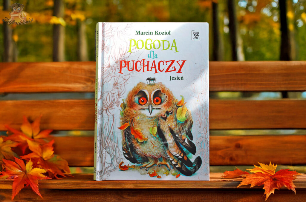Okładka Pogody dla puchaczy. Jesień sfotografowana na ławce wśród liści – nowe, prezentowe wydanie w twardej oprawie od Bumcykcyk.