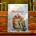 Okładka Pogody dla puchaczy. Jesień sfotografowana na ławce wśród liści – nowe, prezentowe wydanie w twardej oprawie od Bumcykcyk.
