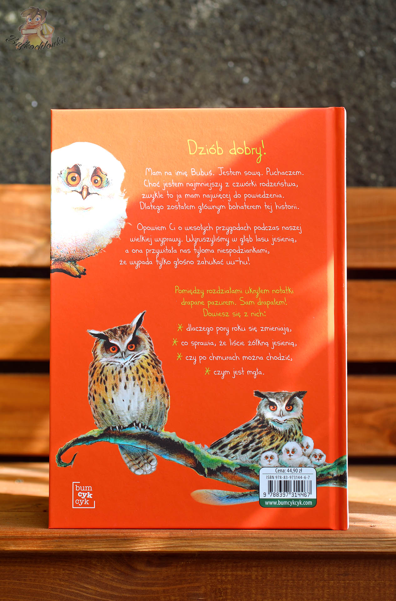 Tylna okładka nowego wydania Pogody dla puchaczy. Jesień z opisem, ilustracjami puchaczy i numerem ISBN wydawnictwa Bumcykcyk.