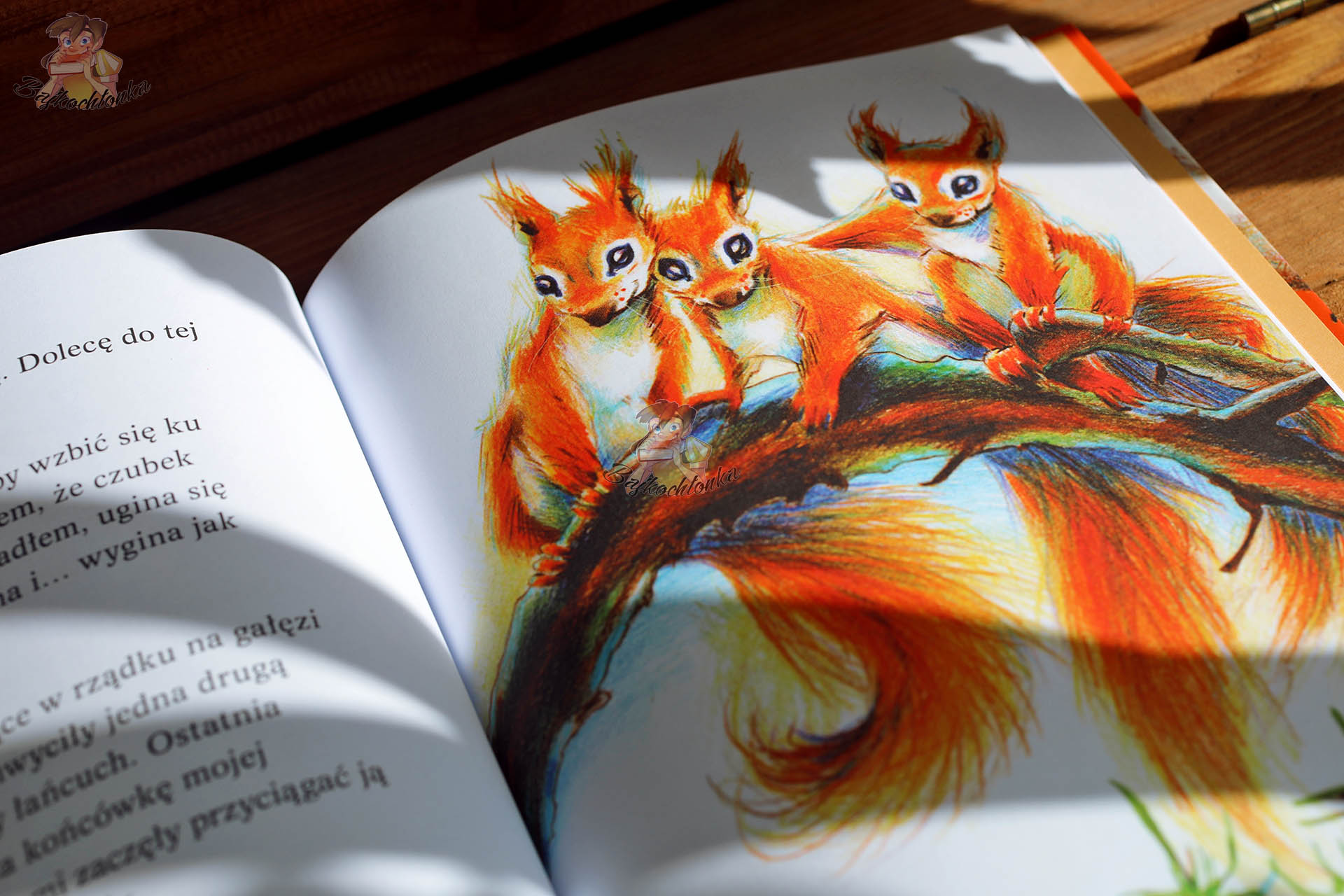 Wiewiórki na gałęzi w ciepłej, jesiennej palecie – przykładowa ilustracja z książki Pogoda dla puchaczy. Jesień dla dzieci 4–8 lat.