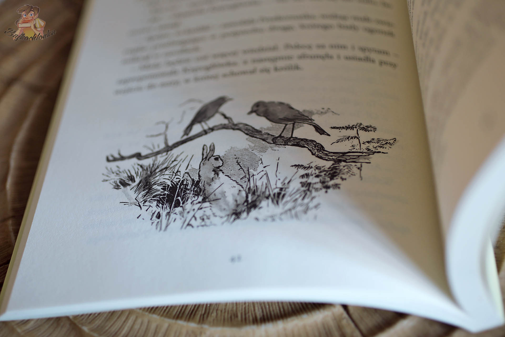 Ilustracja Arthura Rackhama – ptaki na gałęzi i królik, „Poselstwo z Krainy Czarów”, MODO.