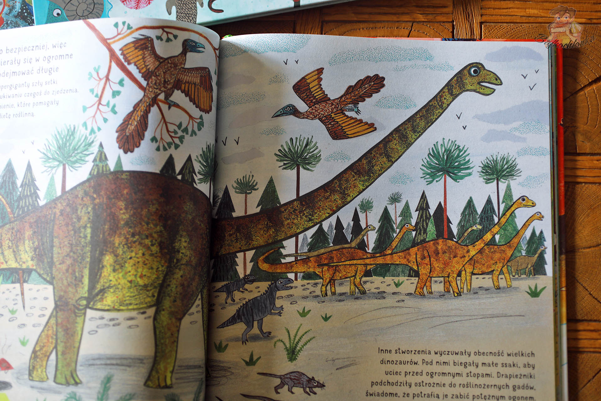 lustracje prowadzą wzrok po najważniejszych elementach sceny, wspierając samodzielne „czytanie obrazu” przez młodszych odbiorców.