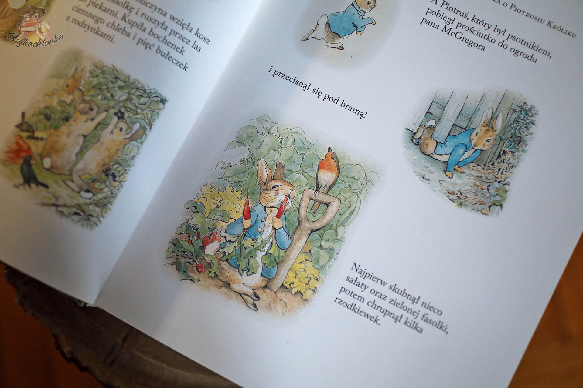 Ilustracje Beatrix Potter z Piotrusia Królika: ucieczka pod bramą i chrupanie rzodkiewek w ogrodzie pana McGregora – wydanie zbiorcze.