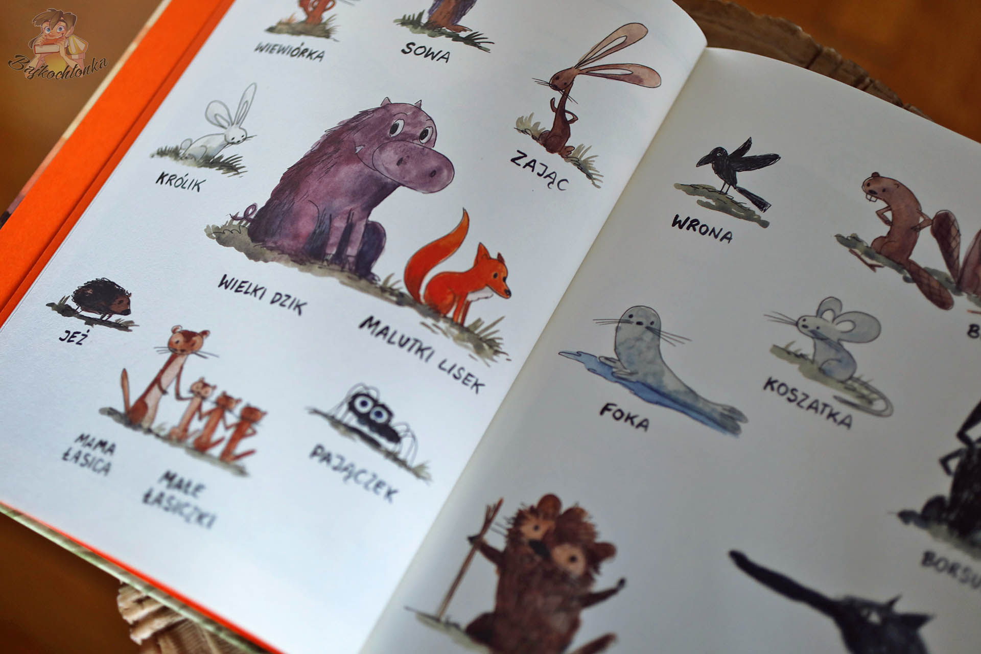 strona z komiksu Kocina. Zapiski z Doliny z portretami mieszkańców Lisiej Doliny, m.in. Malutkim Liskiem, Wielkim Dzikiem i jeżem