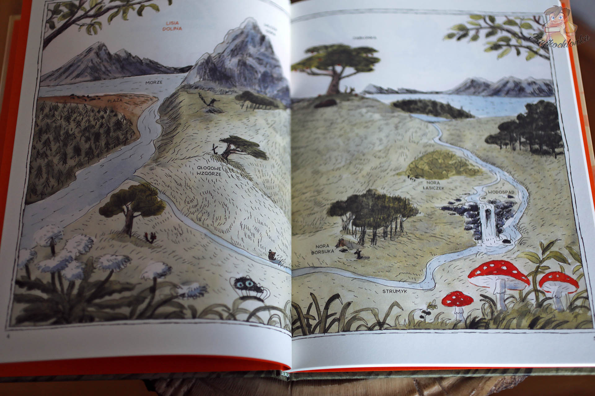 rozkładówka z mapą Lisiej Doliny w komiksie Kocina. Zapiski z Doliny z zaznaczonym strumykiem, wodospadem i norami zwierząt