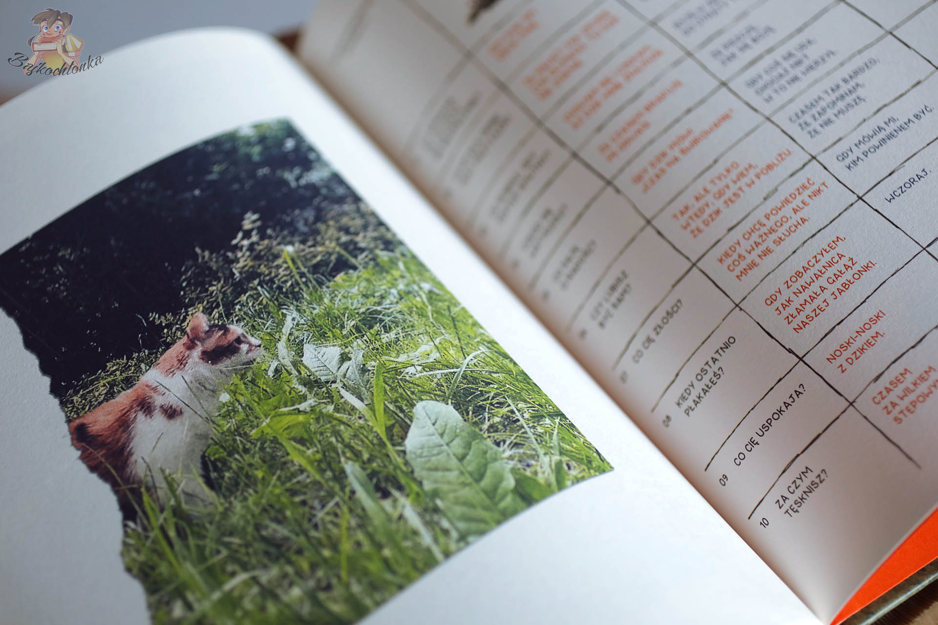strona komiksu Kocina. Zapiski z Doliny z fotografią prawdziwego kota w trawie i tabelą pytań o uczucia