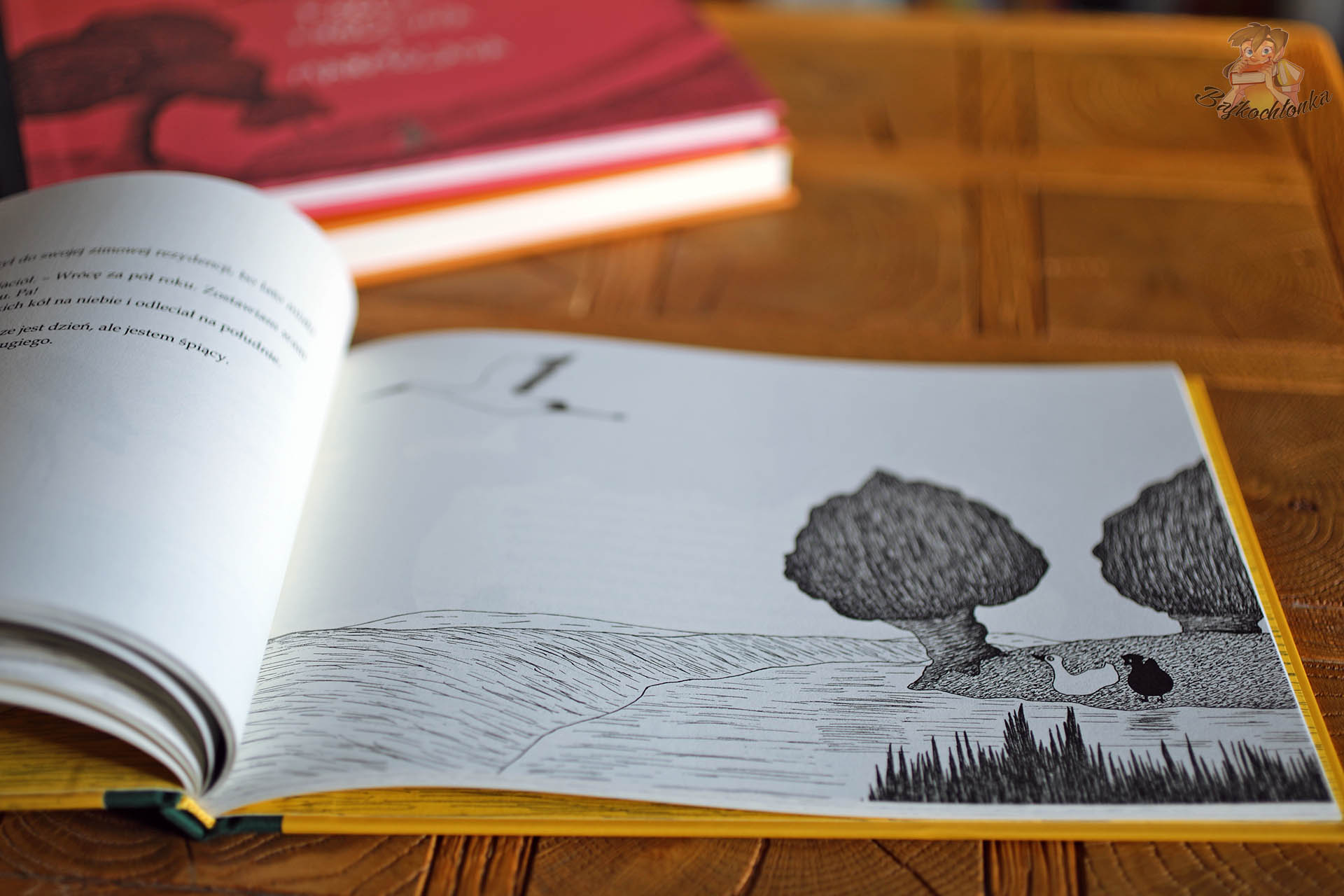 Kura i kaczor – rozkładówka z ilustracją kury i kaczora nad wodą w minimalistycznym pejzażu