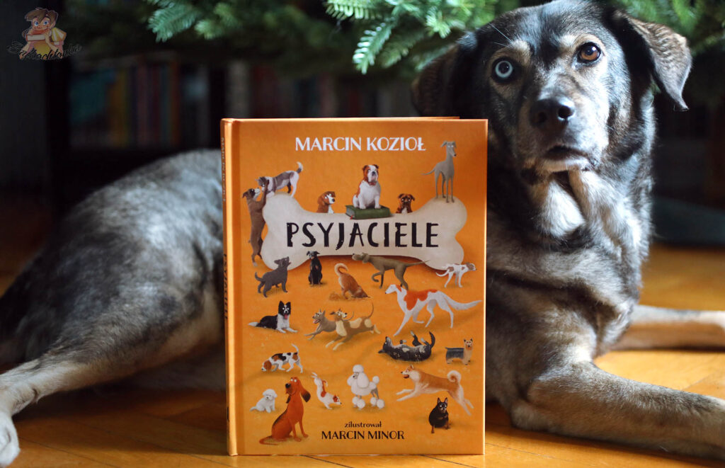 Książka ‘Psyjaciele’ Marcina Kozioła i pies – zdjęcie okładki z czworonogiem, ilustracje Marcin Minor
