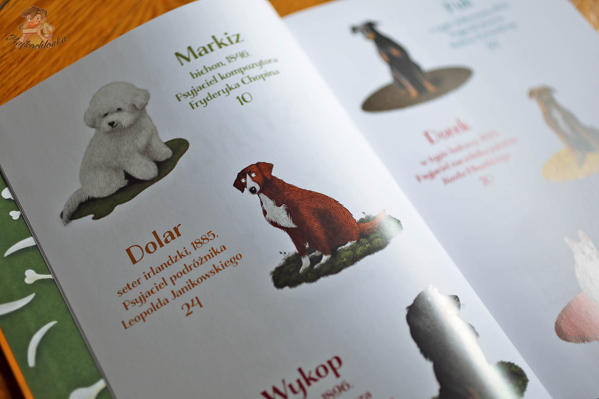 Spis psich bohaterów: Markiz, Dolar, Wykop – rozkładówka z książki ‘Psyjaciele’ (Marcin Kozioł, il. Marcin Minor)