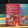 limitowane wydania david walliams cwana ciotuchna i maly miliarder barwione brzegi