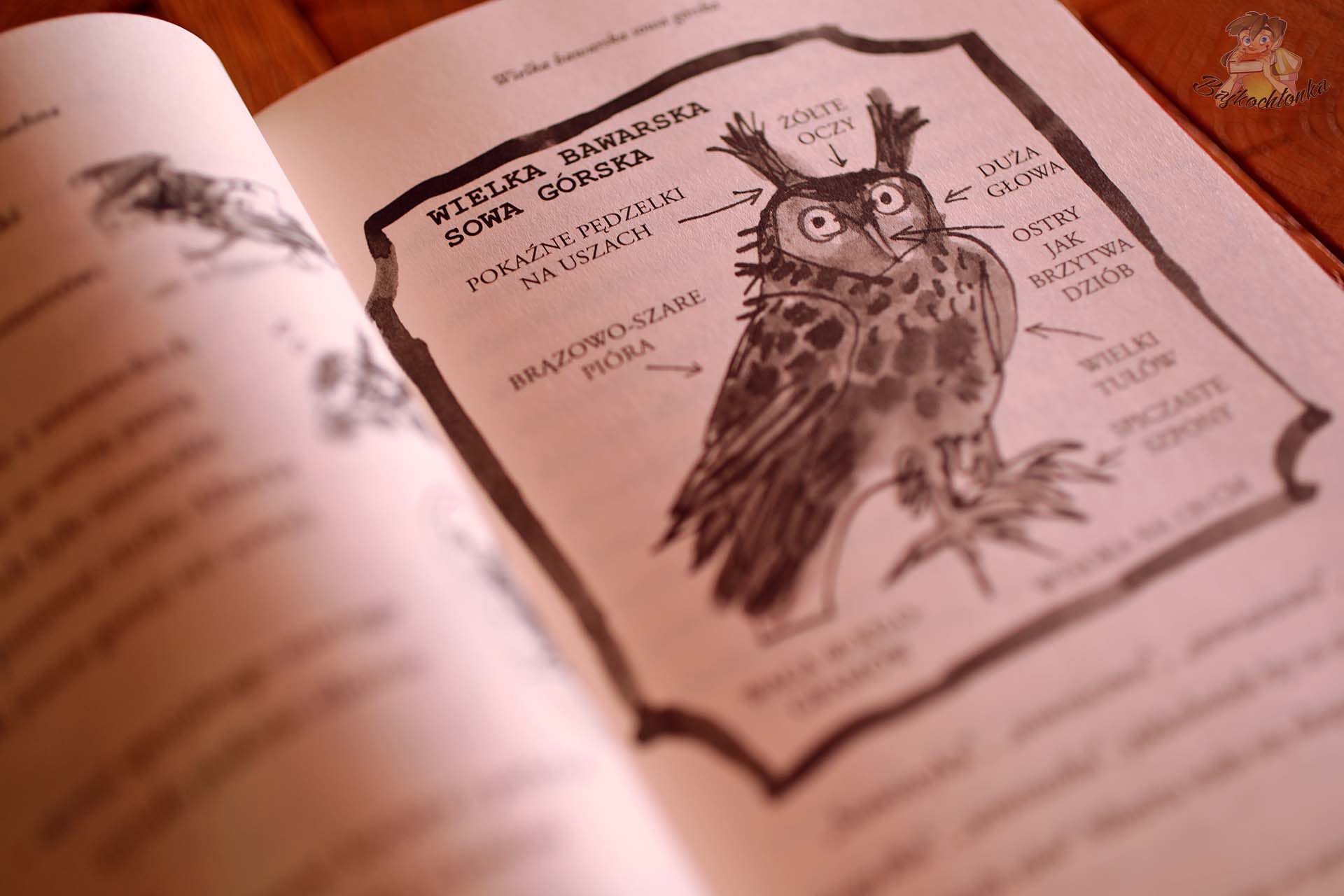 ilustracja wielka bawarska sowa gorska cwana ciotuchna david walliams