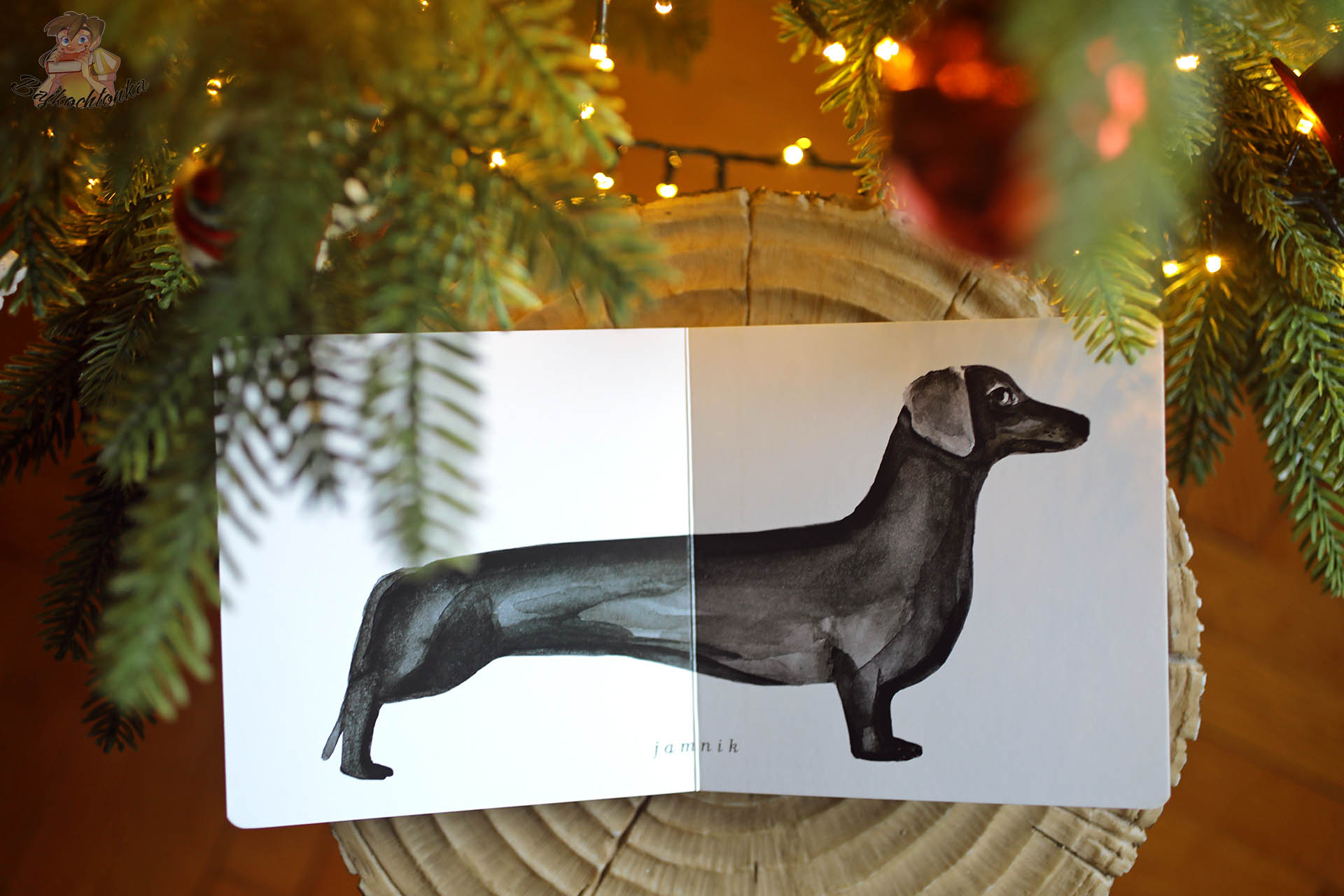 Rozkładówka kartonowej książki Zwierzątka z ilustracją jamnika, książka dla najmłodszych dzieci