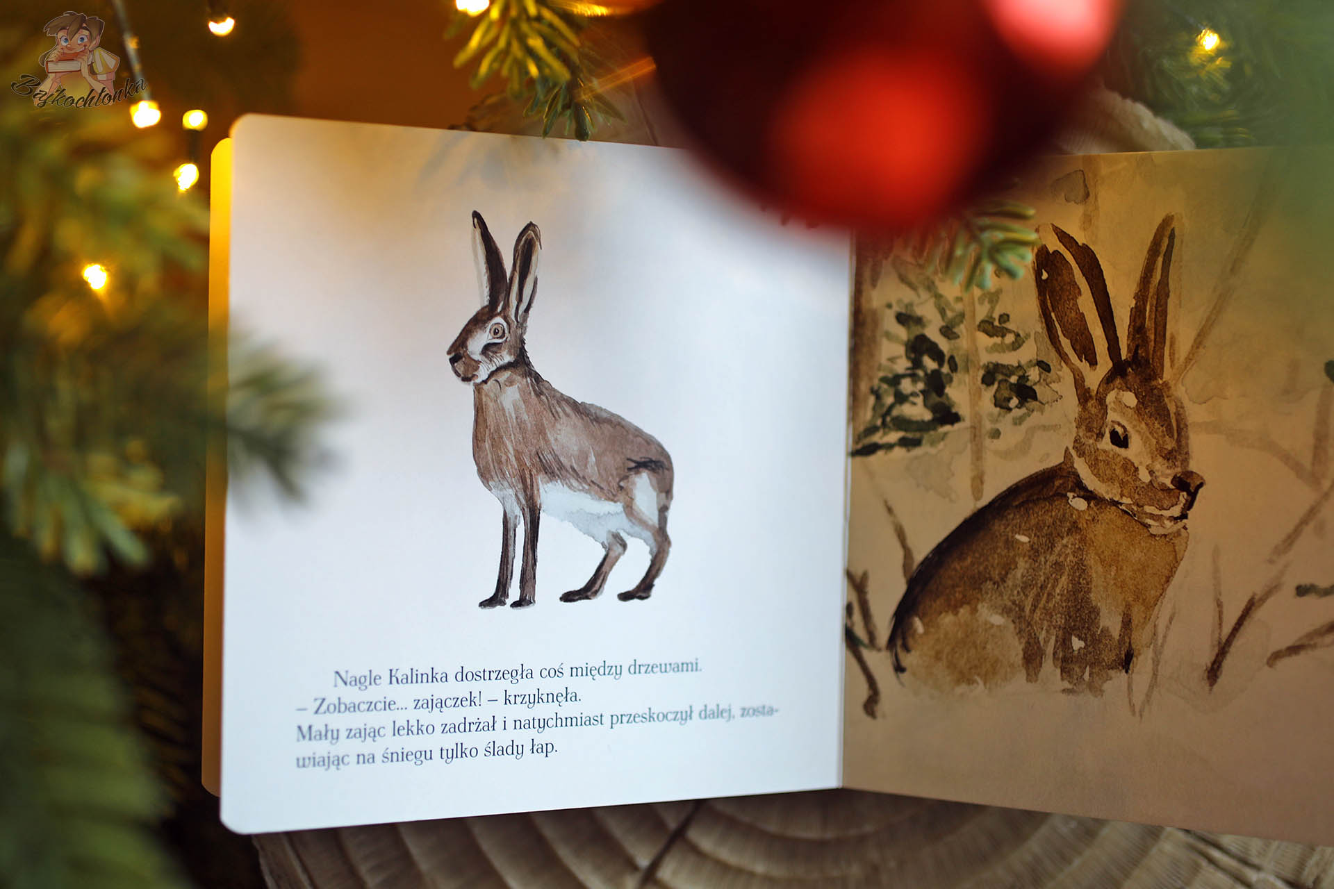 Ilustracja zająca w kartonowej książce Kalinka poznaje miesiące. Cudny styczeń