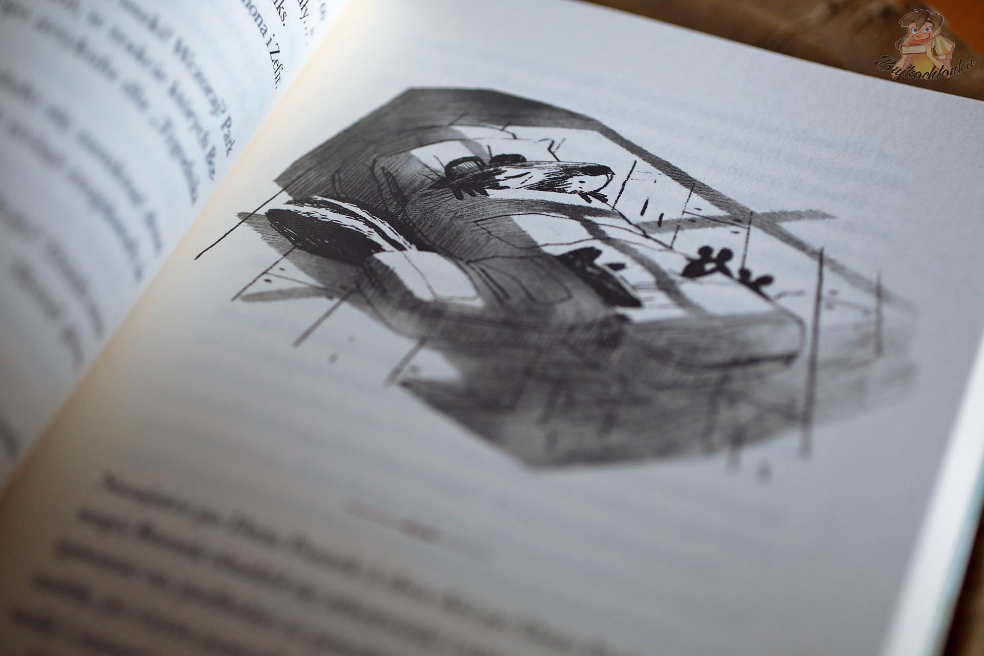 Borsuk w łóżku podczas zimowej nocy – ilustracja z książki Kamień, papier, gryzonie