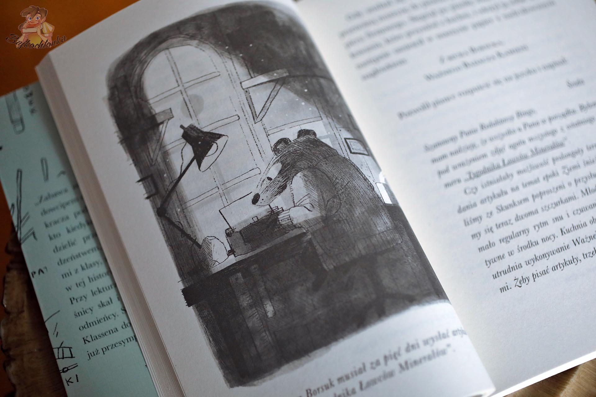 Borsuk piszący artykuł przy biurku – ilustracja Jon Klassen z książki Kamień, papier, gryzonie