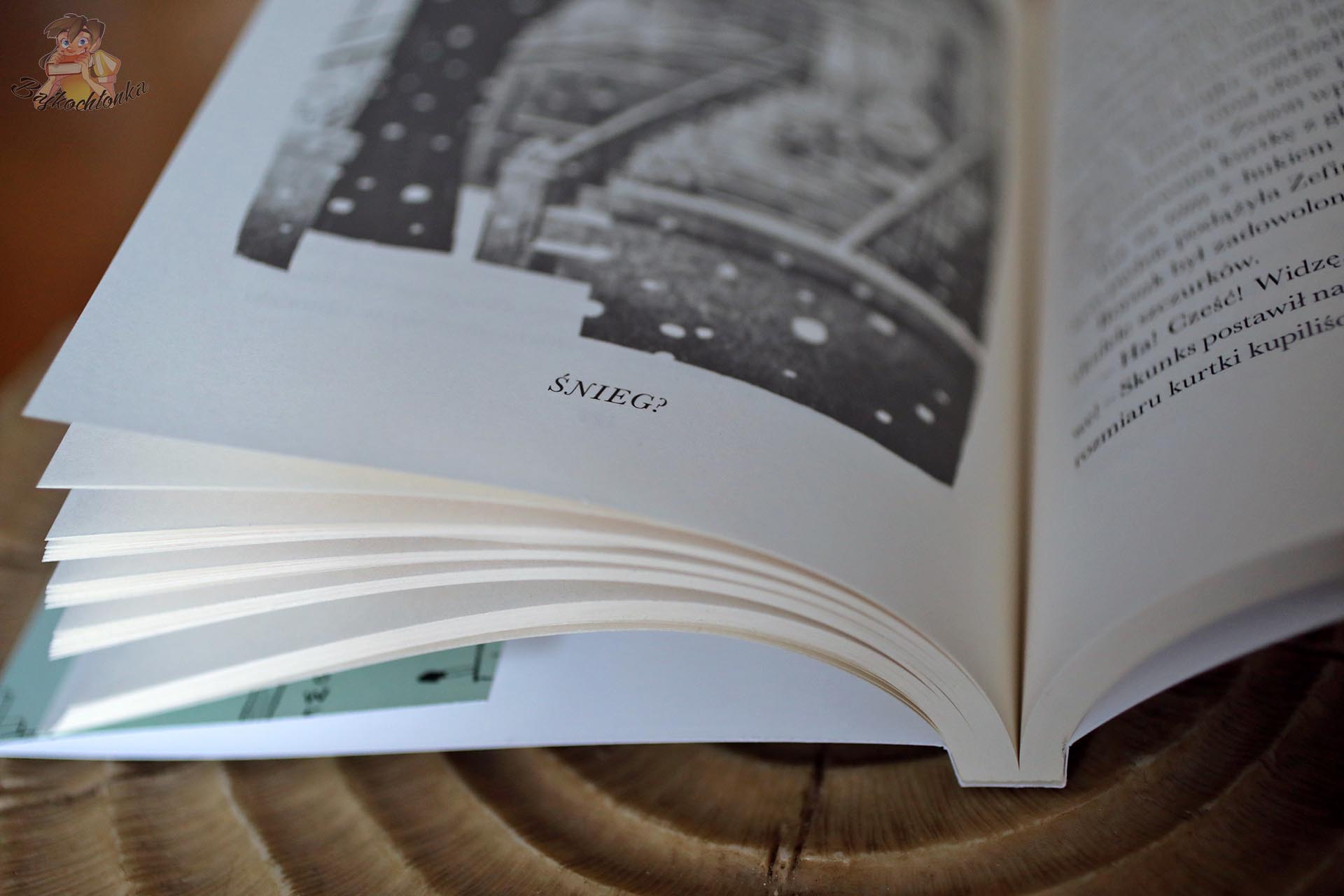 Zimowa ilustracja z napisem „Śnieg?” w książce Kamień, papier, gryzonie