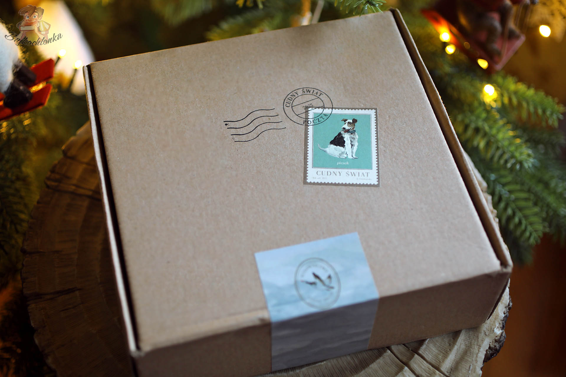 Pudełko prezentowe wydawnictwa Cudny Świat z książkami dla dzieci – świąteczna propozycja prezentowa
