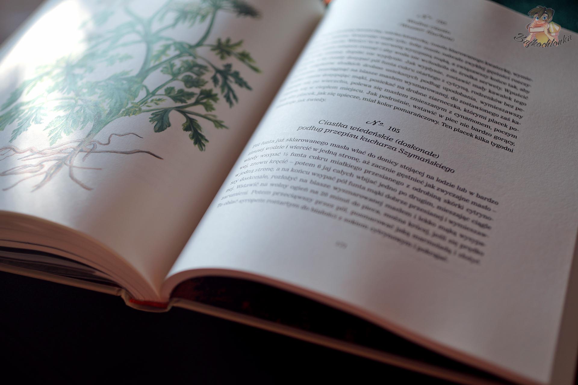 Otwarta książka „Szparagi solić, krety gubić” – strona z przepisem i ilustracją roślinną