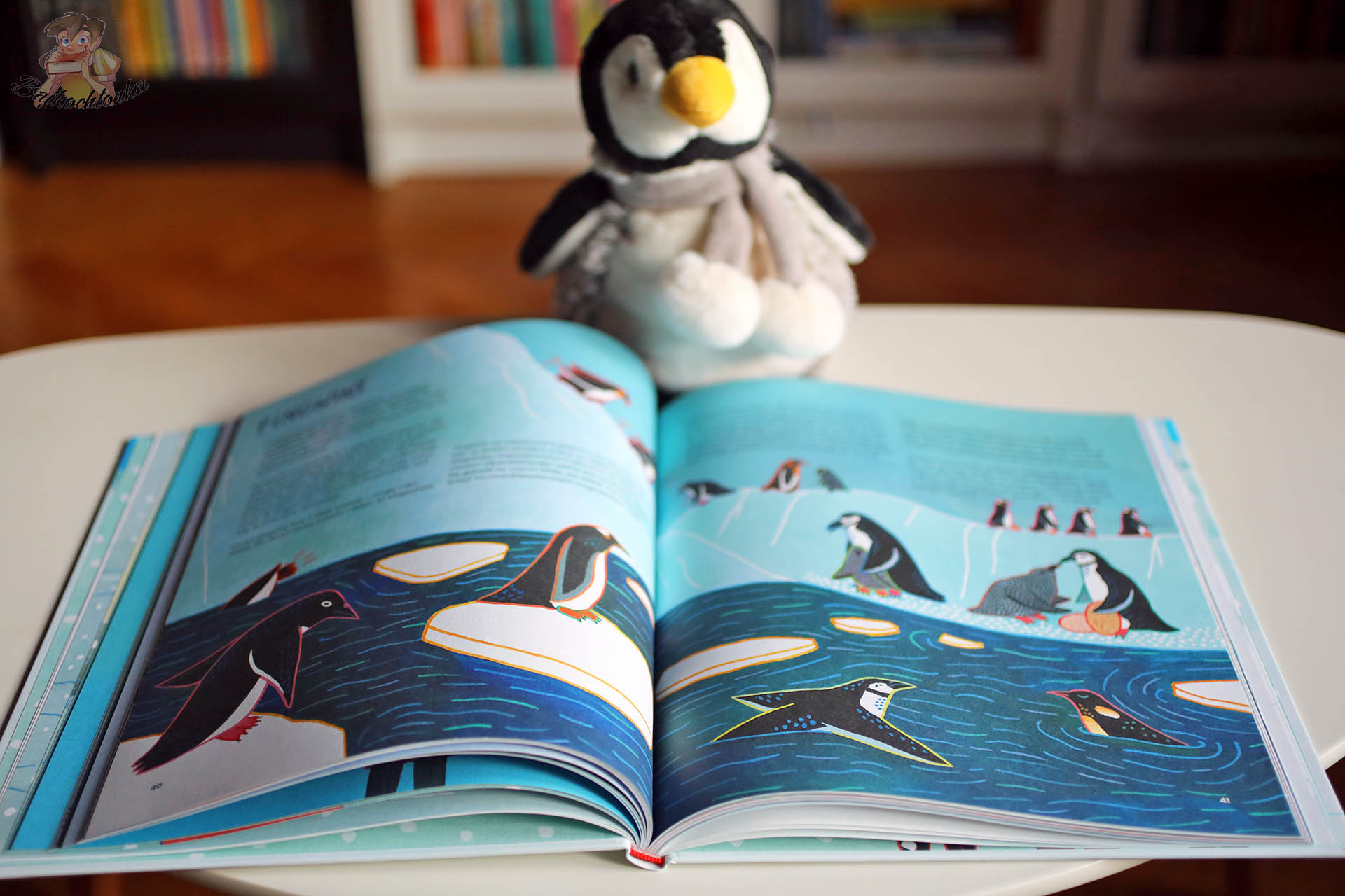 Ilustracje pingwinów w książce Antarktyda. Wyprawa na kraniec świata – fauna Antarktydy w wersji popularnonaukowej