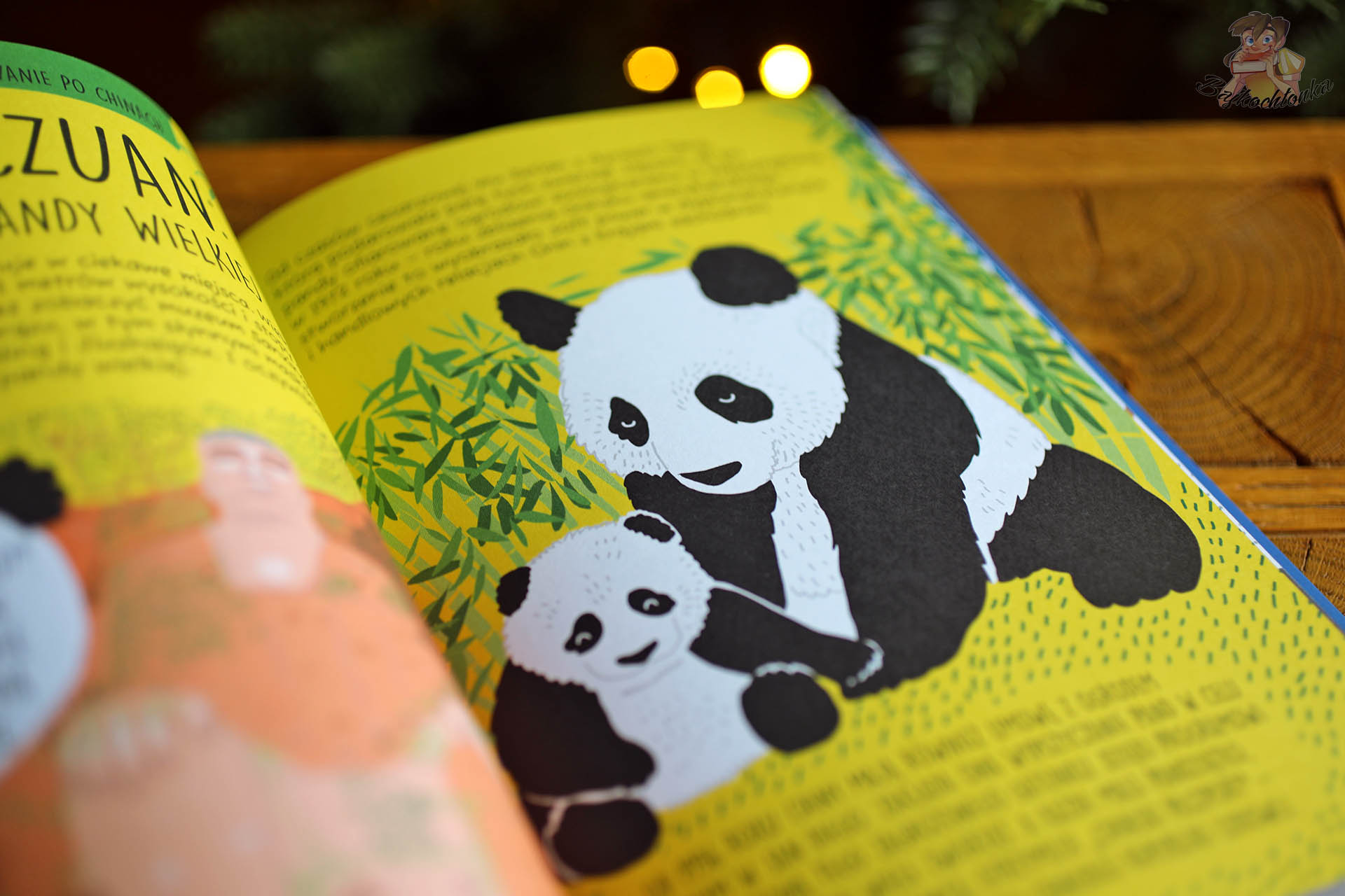 Panda wielka i przyroda Chin w książce „Chiny. Od czerwonych lampionów po Zakazane Miasto”