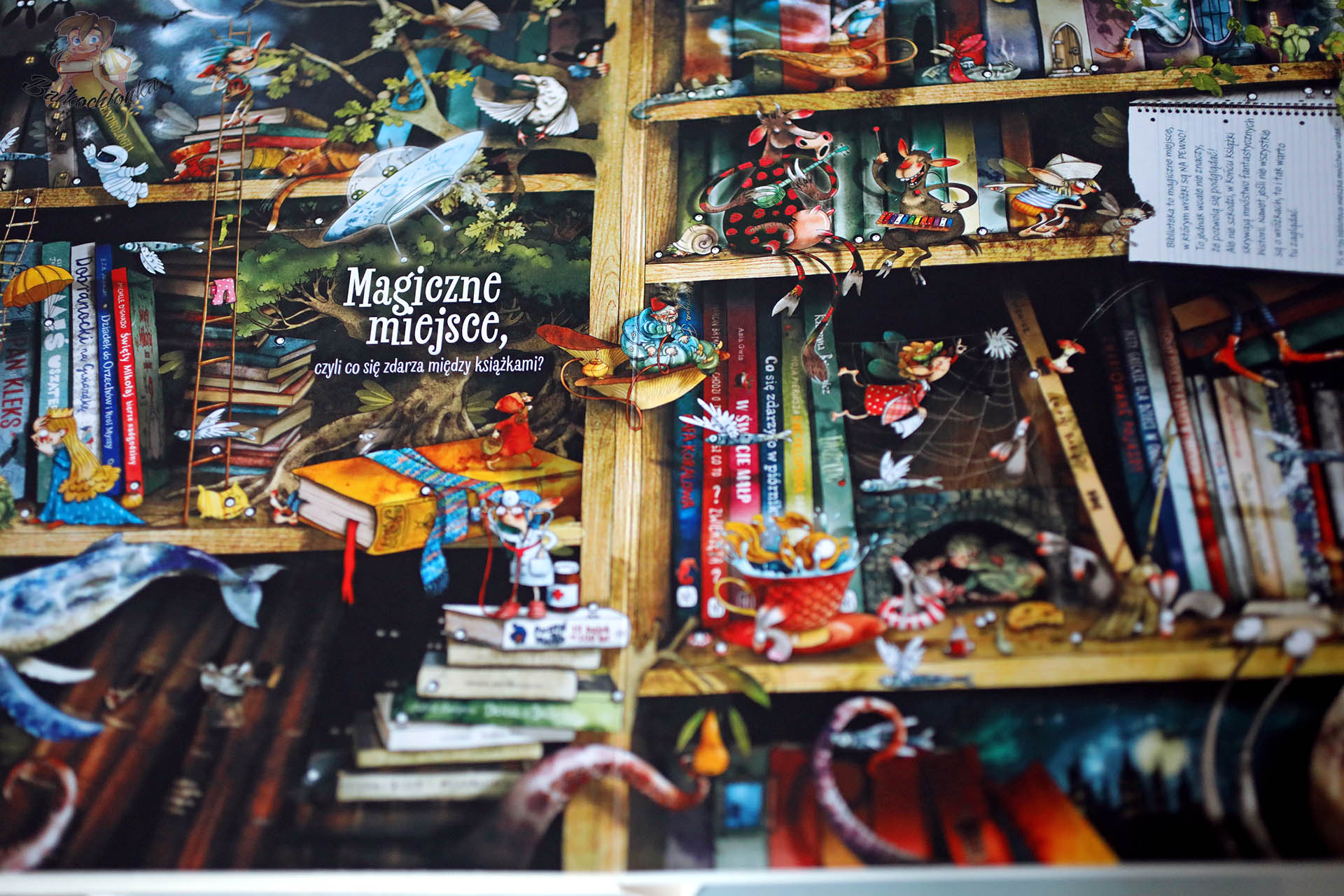 Rozkładówka „Magiczne miejsce” z książki Fakty i plotki o wróżkach – wróżki między książkami