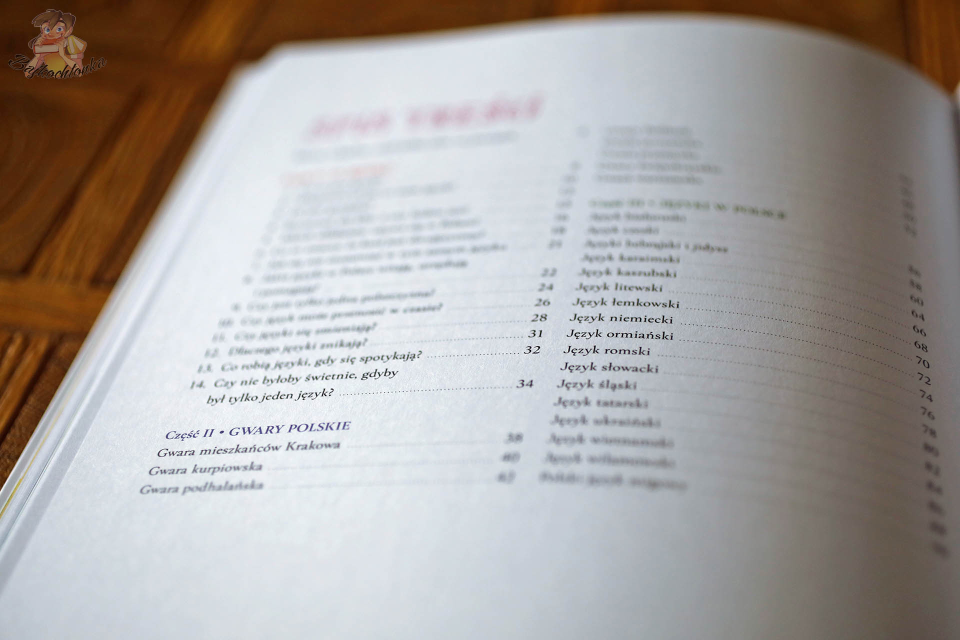 Spis treści książki Gwarno pokazujący podział na gwary polskie i języki używane w Polsce