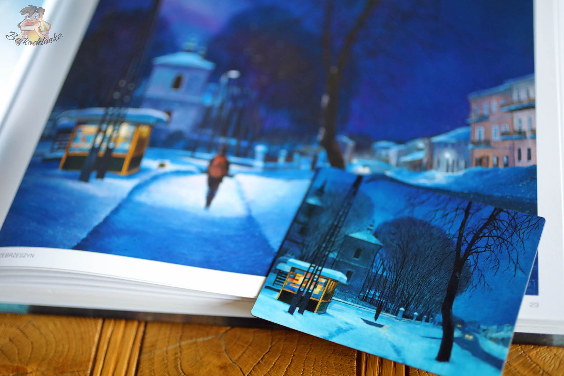 Nocny pejzaż z albumu Anubis Thin Places 3 Joanny Karpowicz – zimowa ulica i oświetlony przystanek