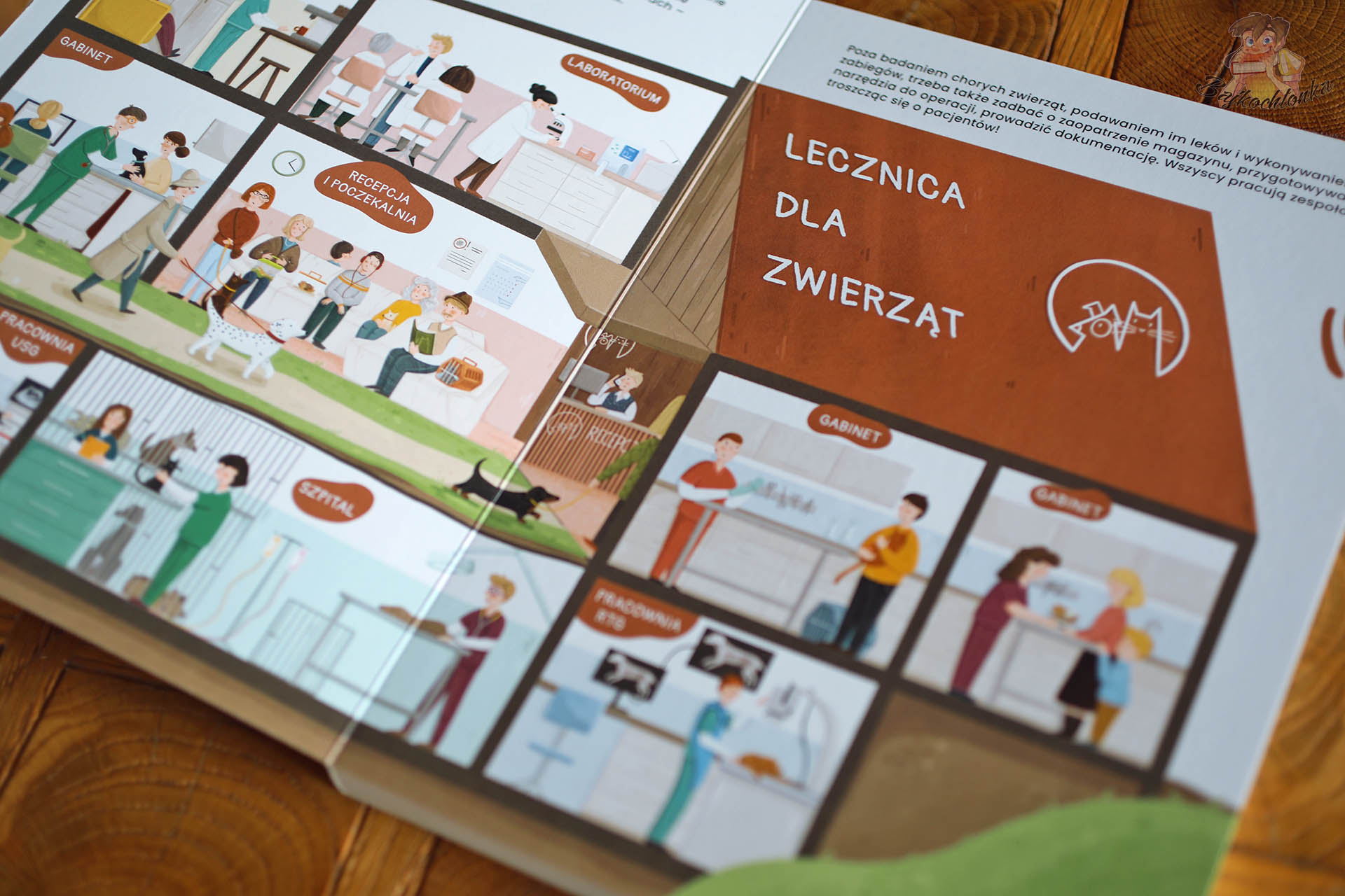 Plansza edukacyjna z książki „Ciekawe co robią weterynarze i weterynarki” pokazująca gabinet, laboratorium oraz recepcję w lecznicy dla zwierząt.