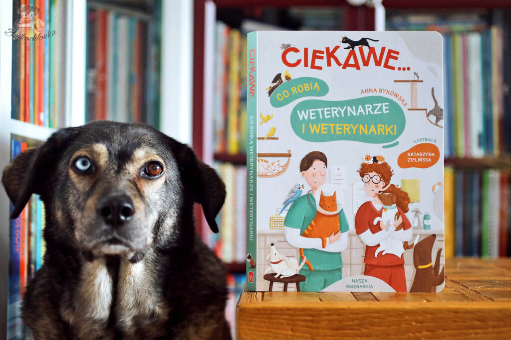 Okładka książki „Ciekawe co robią weterynarze i weterynarki” wydawnictwa Nasza Księgarnia stojąca na drewnianym stole, obok pies o dwukolorowych oczach.